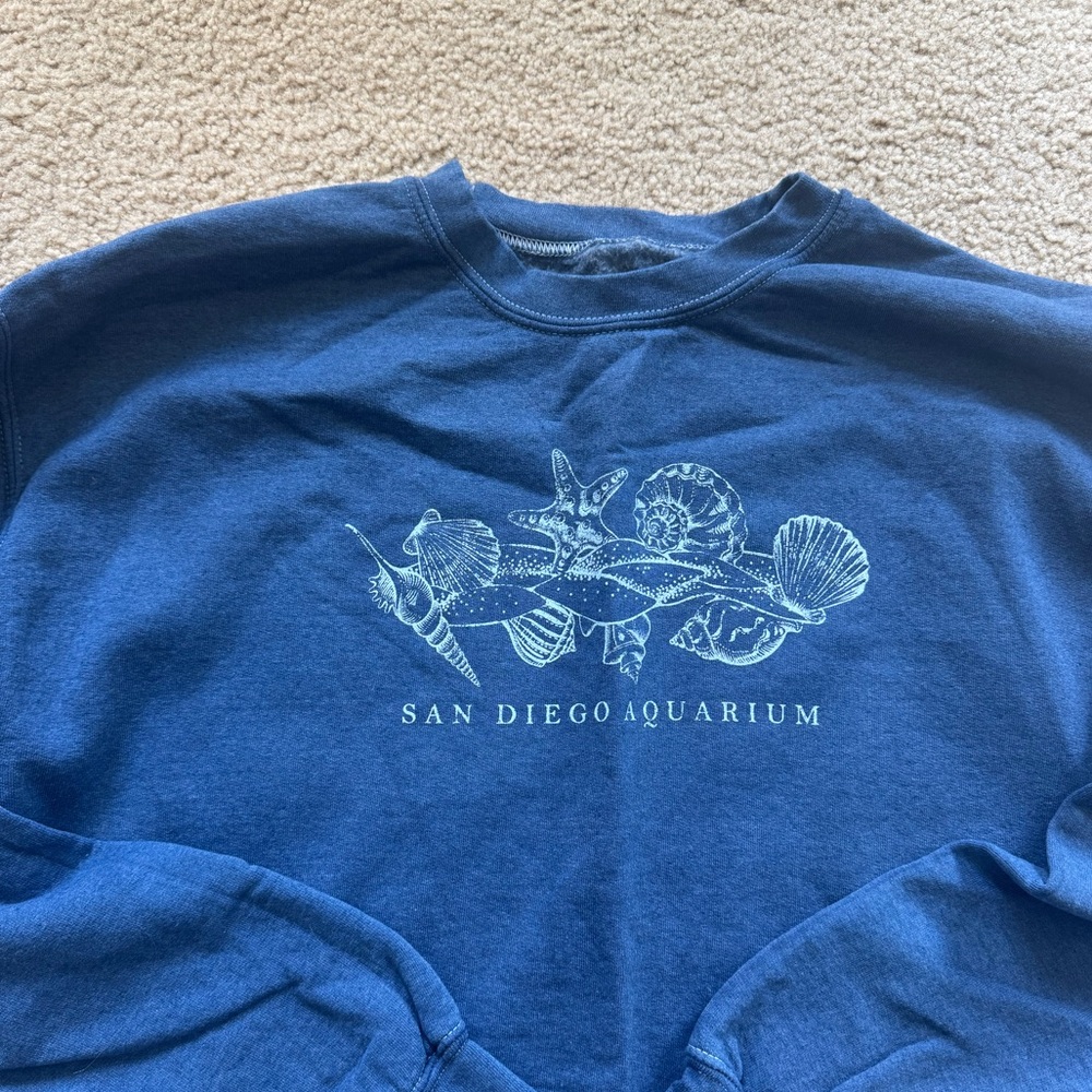 Pacsun Graphic Crewneck